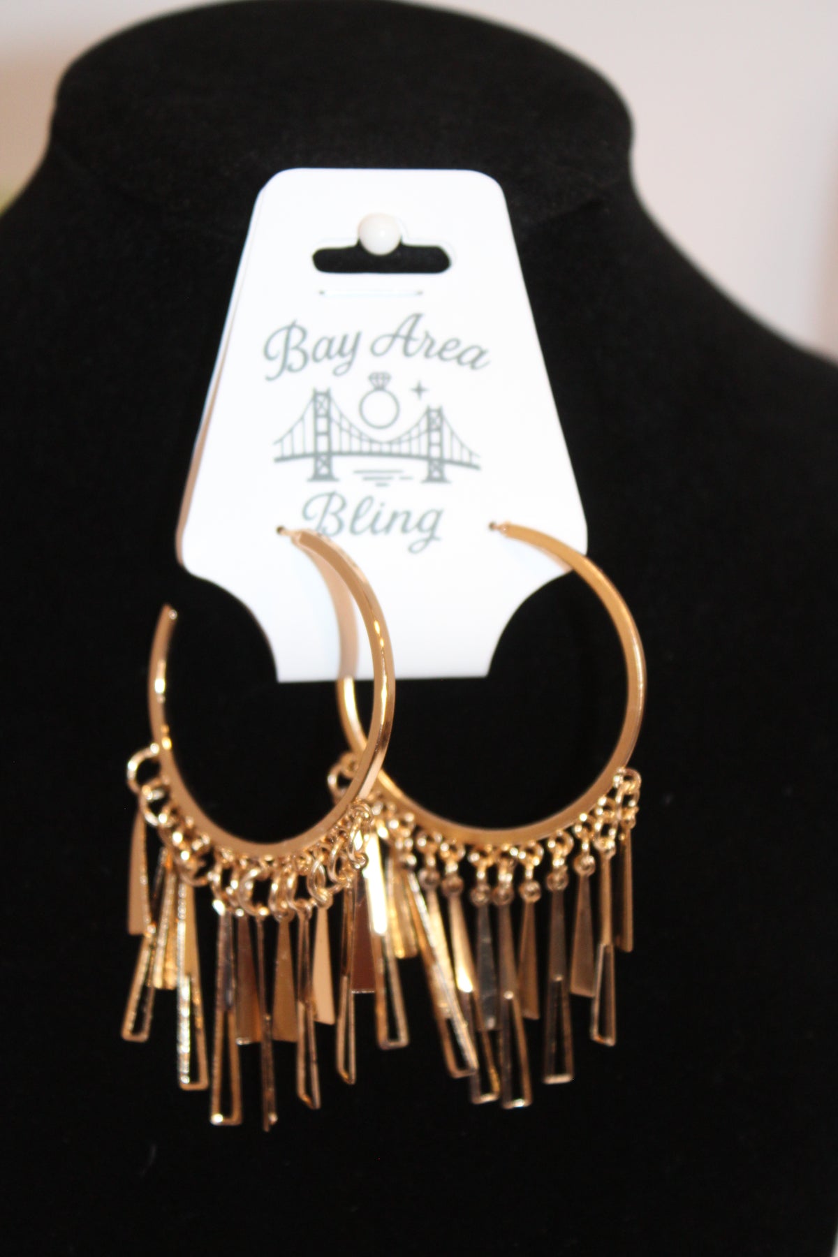 Earrings/Necklace Combo- Gold Fringe Hoop Earrings