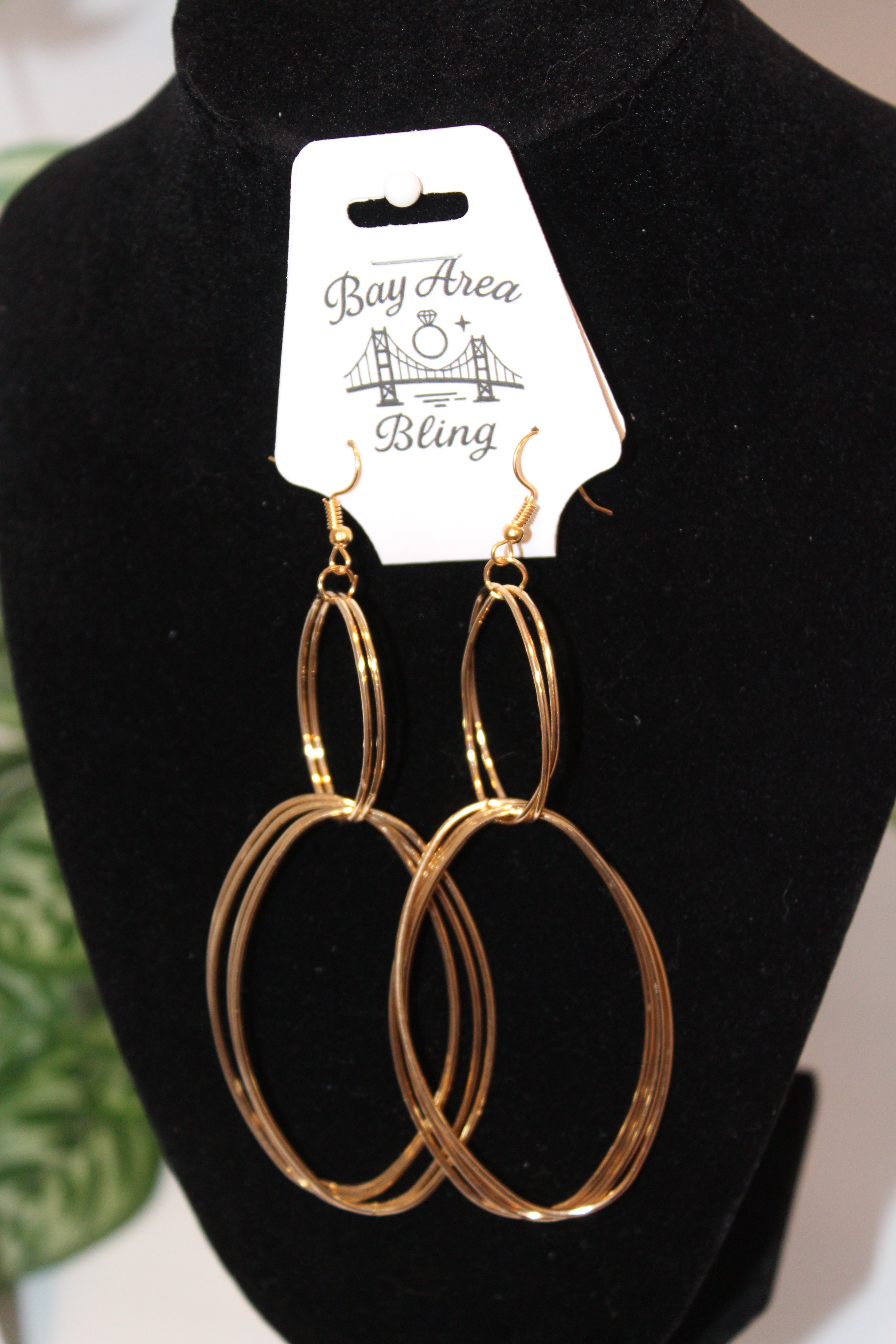 Earrings-Golden Double Oval Drop Earrings